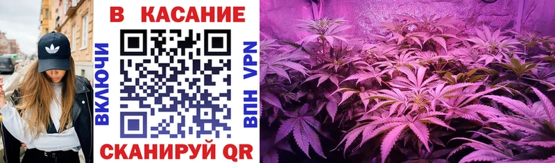 Купить закладку Альфа ПВП  Меф мяу мяу  ГАШ  Моршанск