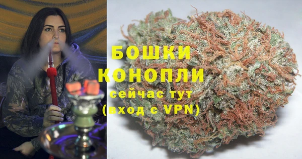 ПСИЛОЦИБИНОВЫЕ ГРИБЫ Заволжье