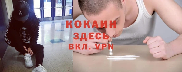 ПСИЛОЦИБИНОВЫЕ ГРИБЫ Заволжье