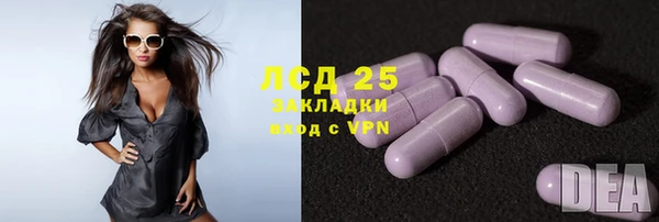 ПСИЛОЦИБИНОВЫЕ ГРИБЫ Заволжье