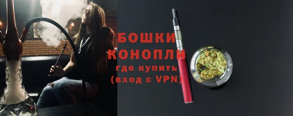 ПСИЛОЦИБИНОВЫЕ ГРИБЫ Заволжье