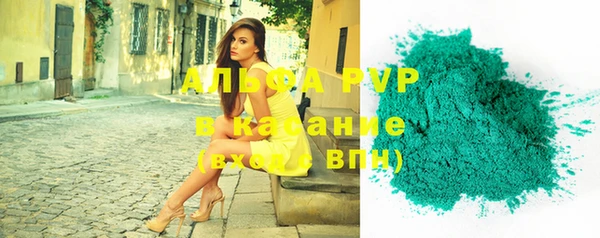 ПСИЛОЦИБИНОВЫЕ ГРИБЫ Заволжье