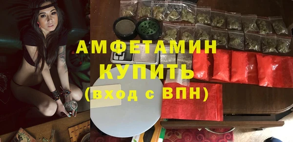 ПСИЛОЦИБИНОВЫЕ ГРИБЫ Заволжье