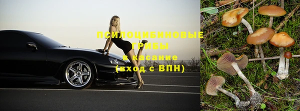 ПСИЛОЦИБИНОВЫЕ ГРИБЫ Заволжье