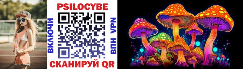 Псилоцибиновые грибы Cubensis Моршанск